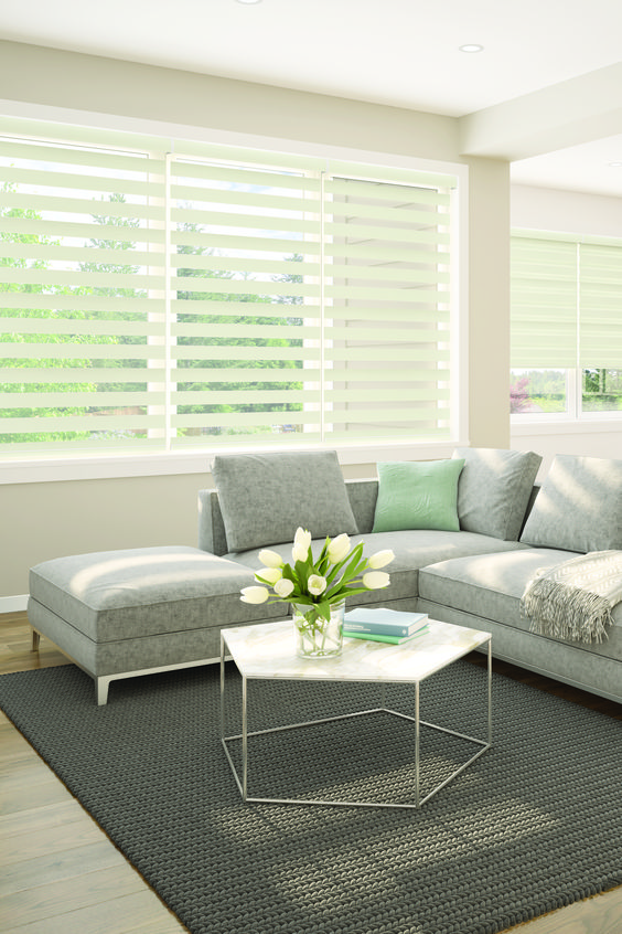 Cortinas duo roller